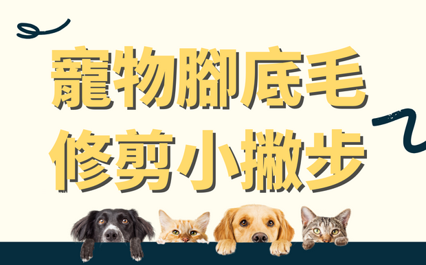 寵物腳底毛修剪小撇步! 為何要修剪腳底毛? 
