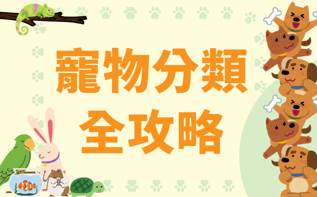 寵物分類全攻略：從品種到客製化禮品，打造獨一無二的寵愛體驗！