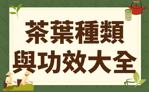 茶葉種類與功效大全：找到最適合你的健康好茶