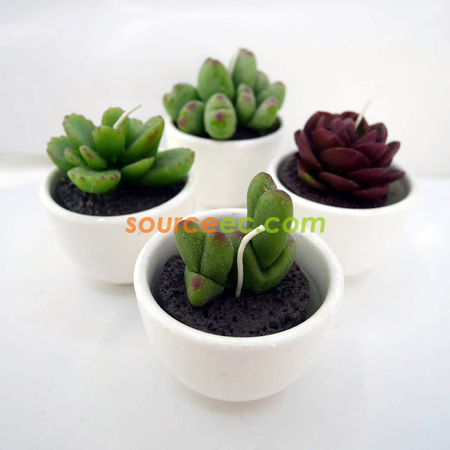 禮品訂造盆栽植物蠟燭紀念品