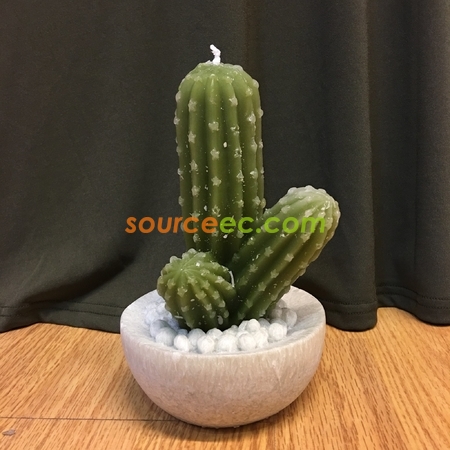 禮品訂造盆栽植物蠟燭紀念品