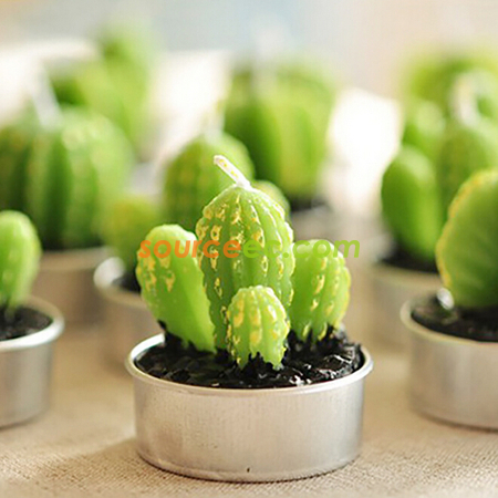 禮品訂造盆栽植物蠟燭紀念品