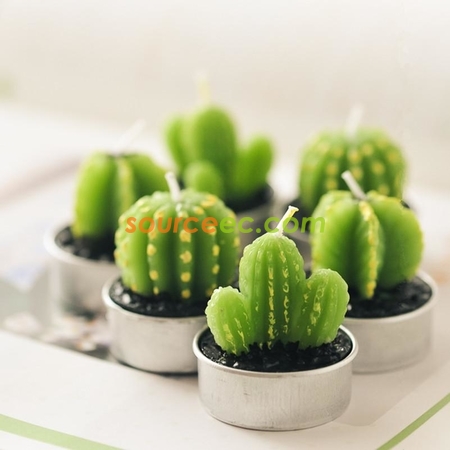 禮品訂造盆栽植物蠟燭紀念品