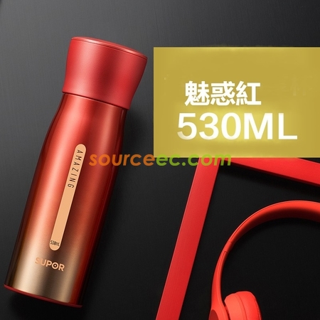 禮品訂造極光保溫杯紀念品