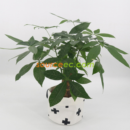 禮品訂造牛皮紙收納袋紀念品