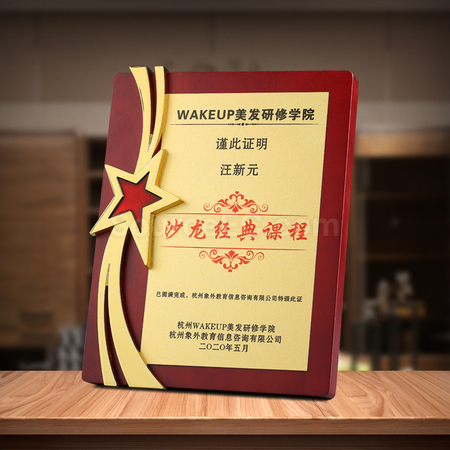 禮品訂造金屬五星獎牌紀念品