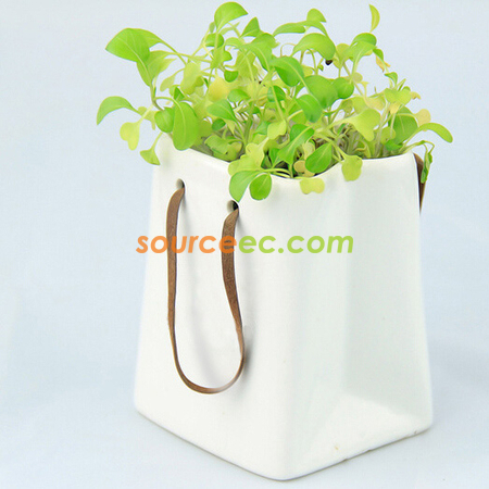 禮品訂造環保盤栽禮品紀念品