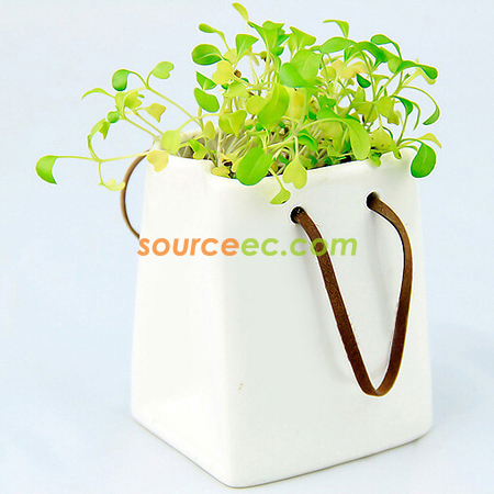 禮品訂造環保盤栽禮品紀念品