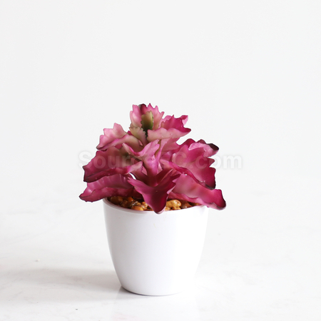 禮品訂造仿真綠植紀念品