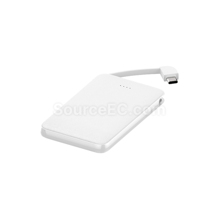 禮品訂造10000mAh雙線快充移動電源紀念品