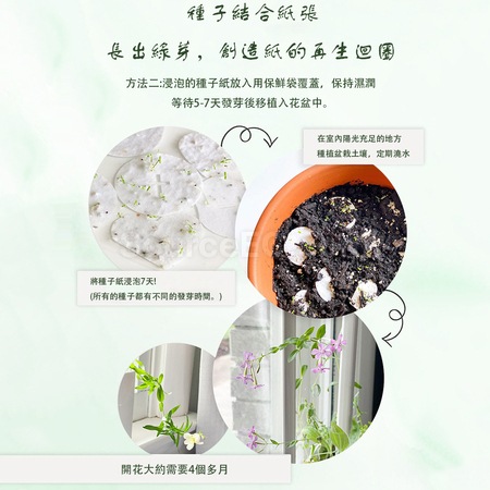 禮品訂造種子紙手提袋紀念品