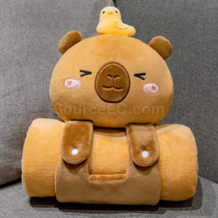 禮品訂造卡通抱枕毯子兩用二合一紀念品