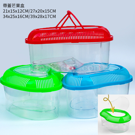 禮品訂造便攜塑膠烏龜缸金魚缸紀念品