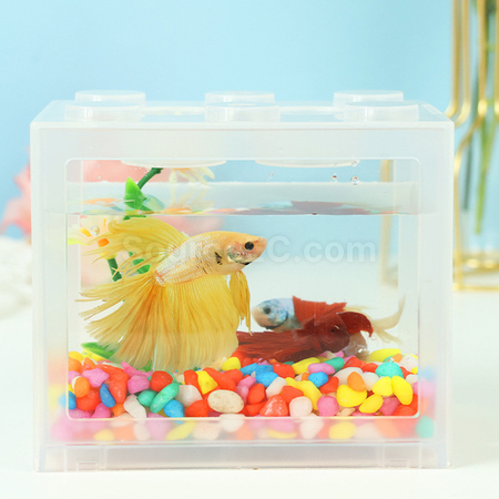 禮品訂造鬥魚積木魚缸紀念品