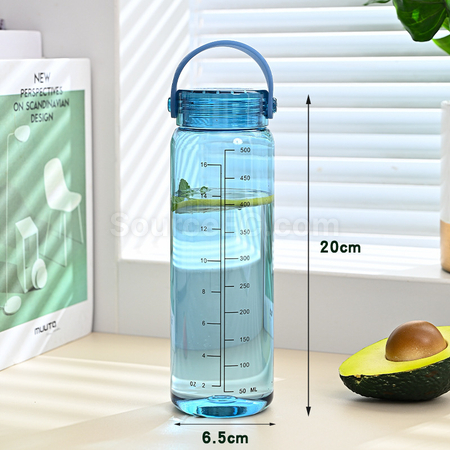 禮品訂造簡約手提運動水壺紀念品