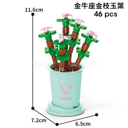 禮品訂造咖啡杯植物系列積木-12星座多肉植物系列紀念品