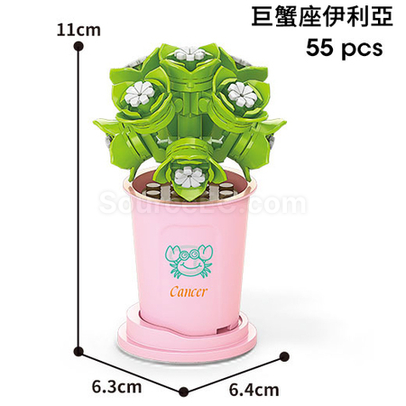 禮品訂造咖啡杯植物系列積木-12星座多肉植物系列紀念品