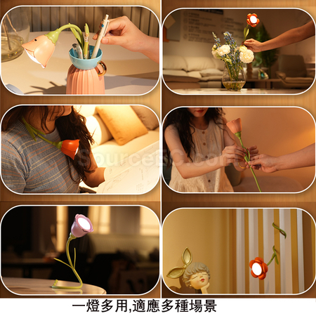 禮品訂造花朵檯燈擺件紀念品