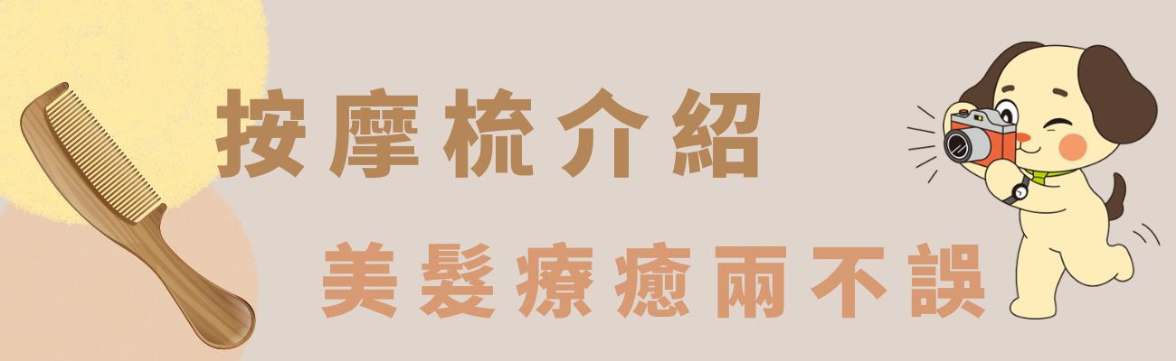 按摩梳介紹