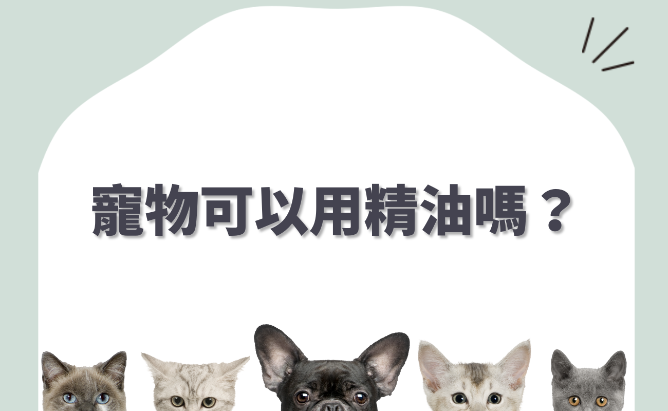 貓狗可以用精油嗎
