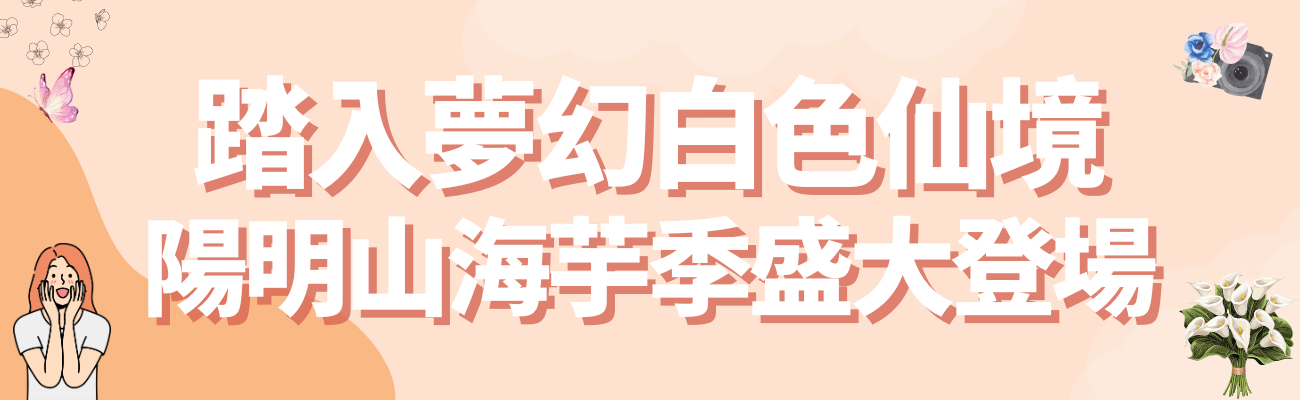 海芋季