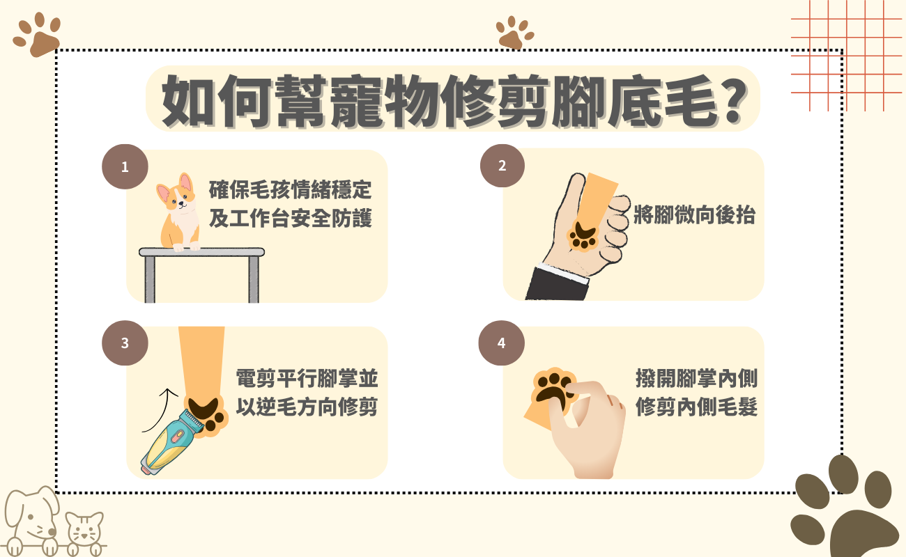 寵物腳底毛修剪