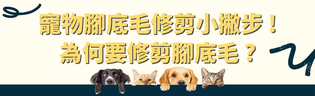 寵物腳底毛修剪