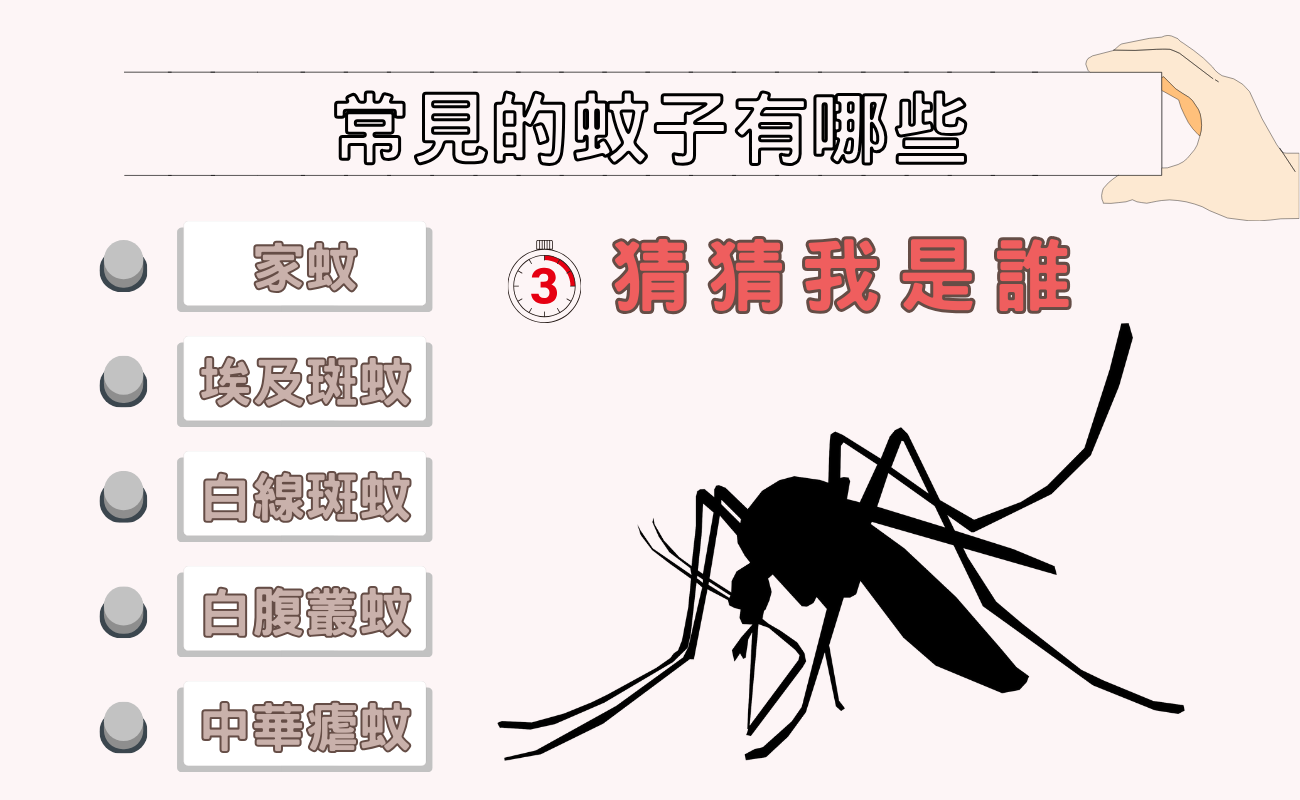 常見的蚊子